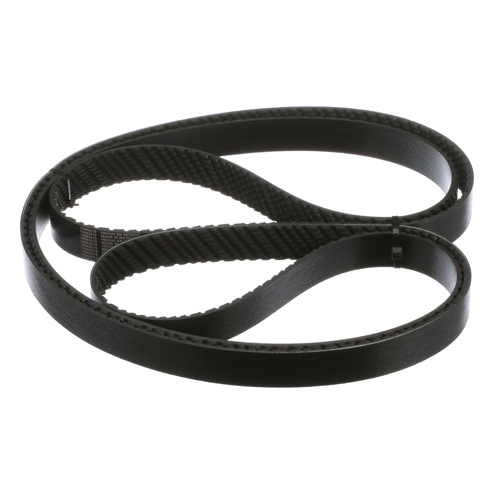 BELT | CASECE | ANZ | EN