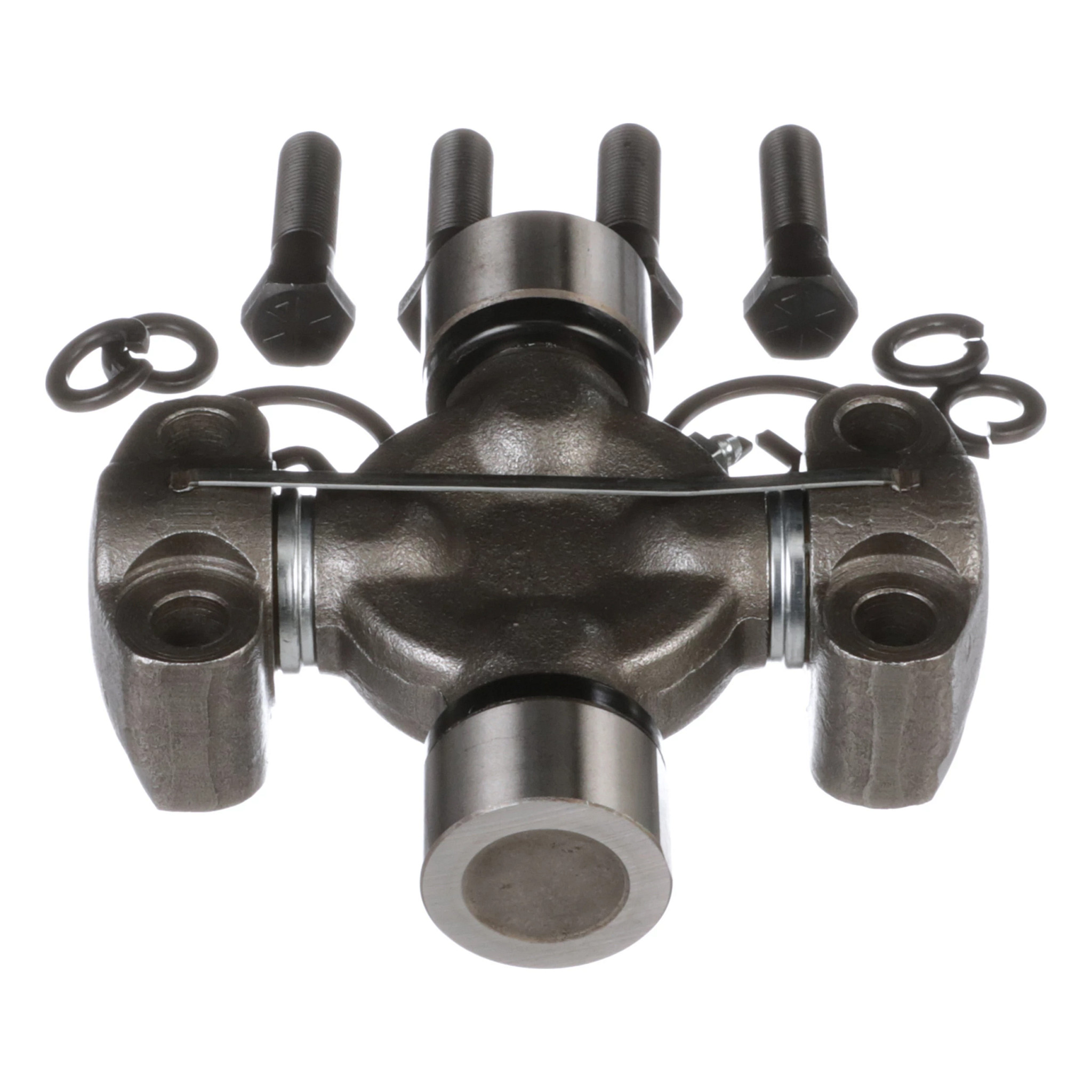 SPIDER | CASECE | US | EN