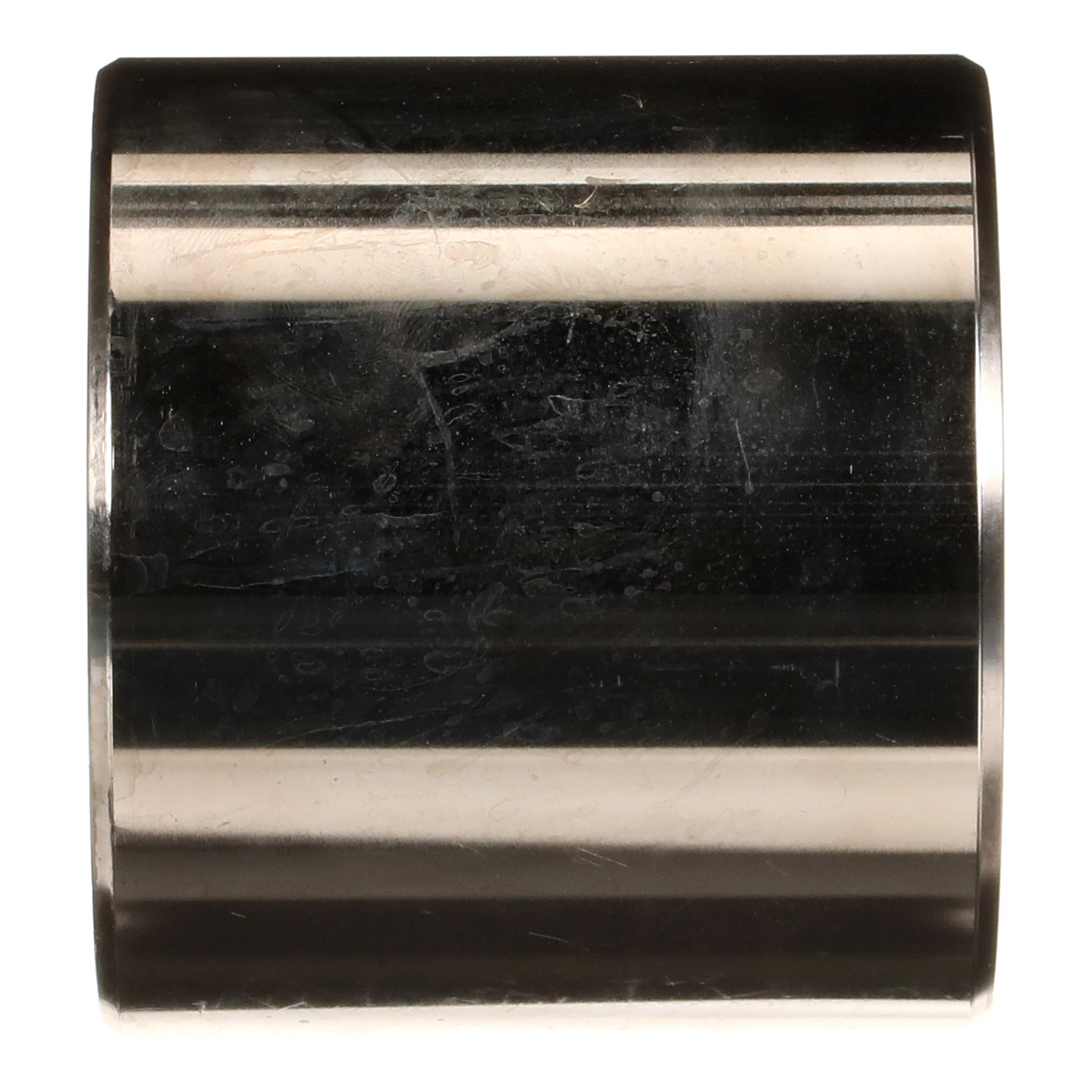 ARBRE | CASECE | CA | EN