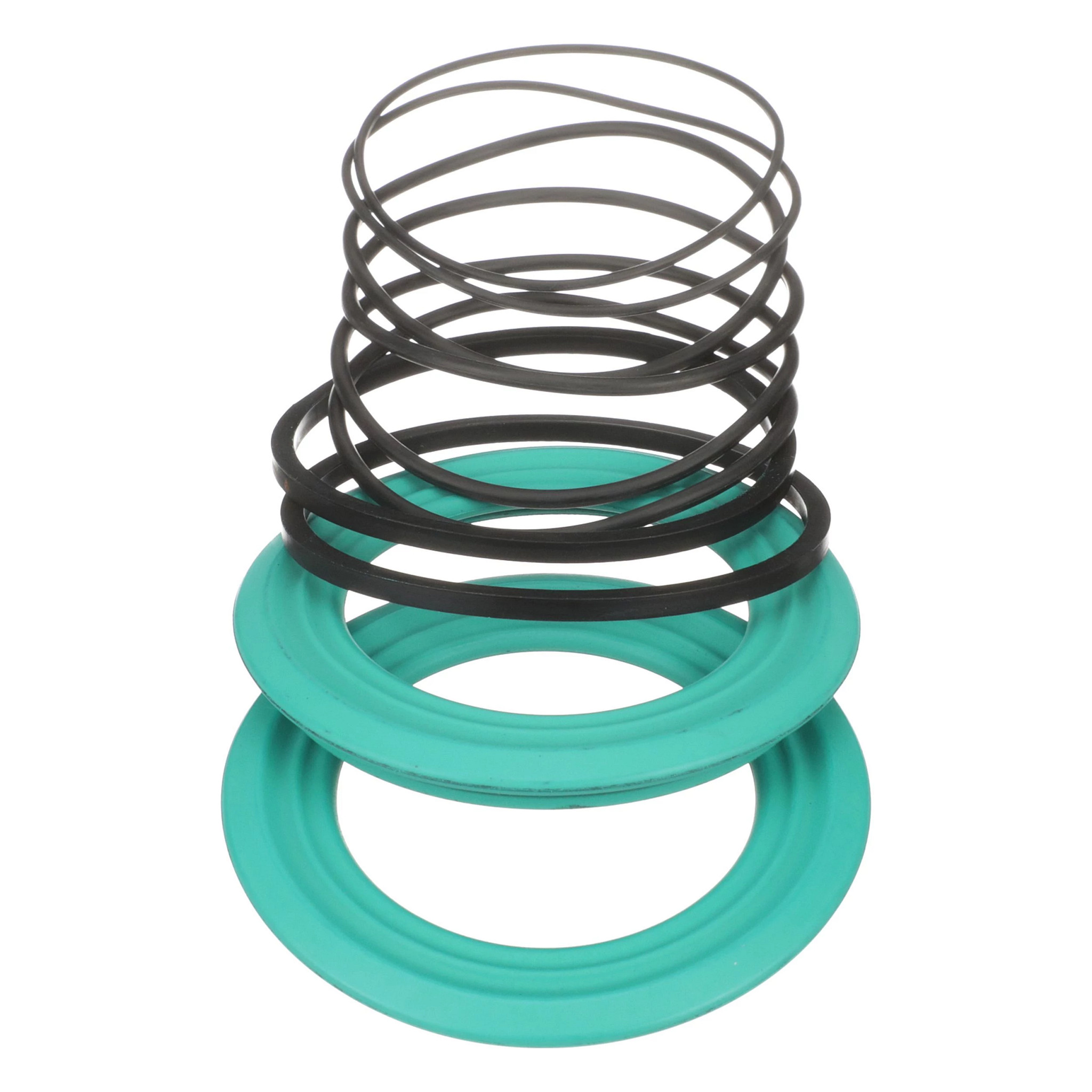 86000350 | Piston Seal Kit | New Holland Agriculture | MyCNH US Store