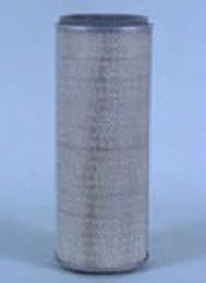 Fleetguard Air Filter | CASECE | US | EN