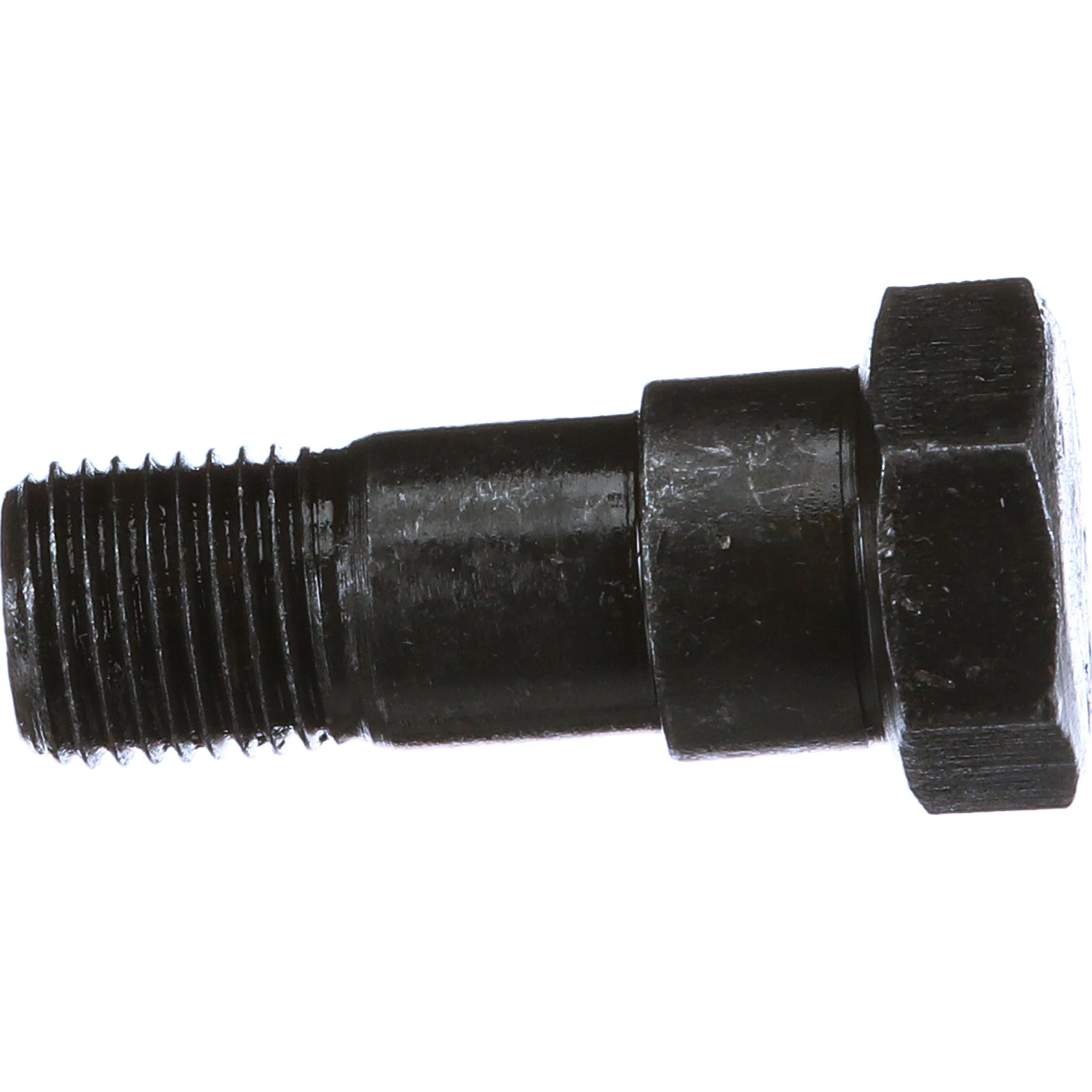 BOLT | CASECE | CA | EN