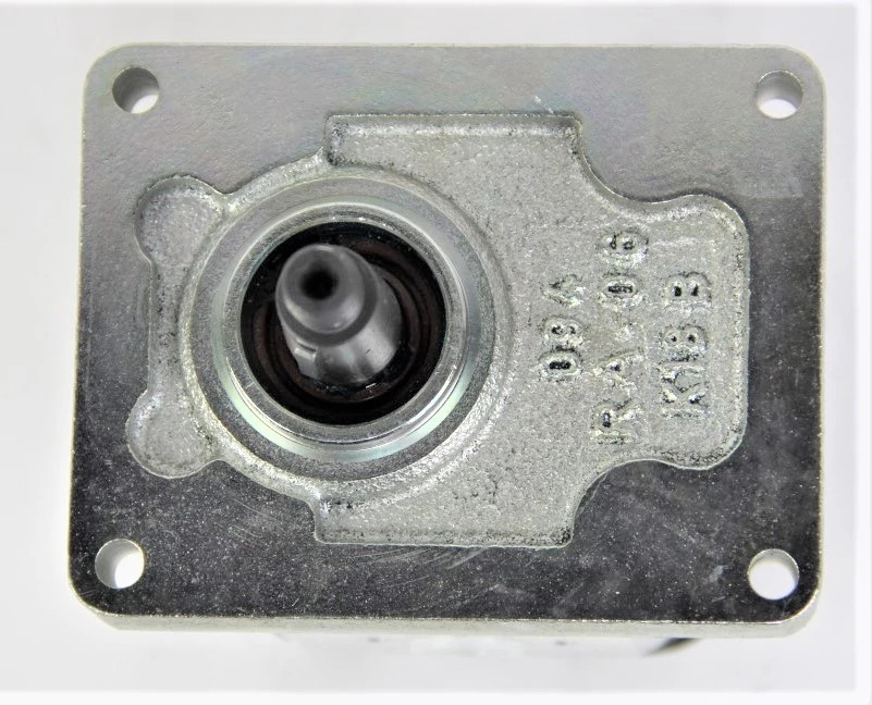 REMAN-HYD PUMP | NEWHOLLANDAG | US | EN