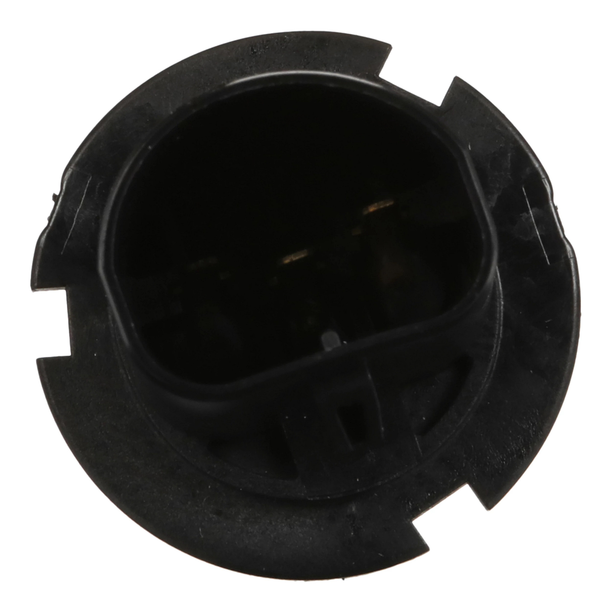 LAMPADINA | DEFAULT | IT | IT