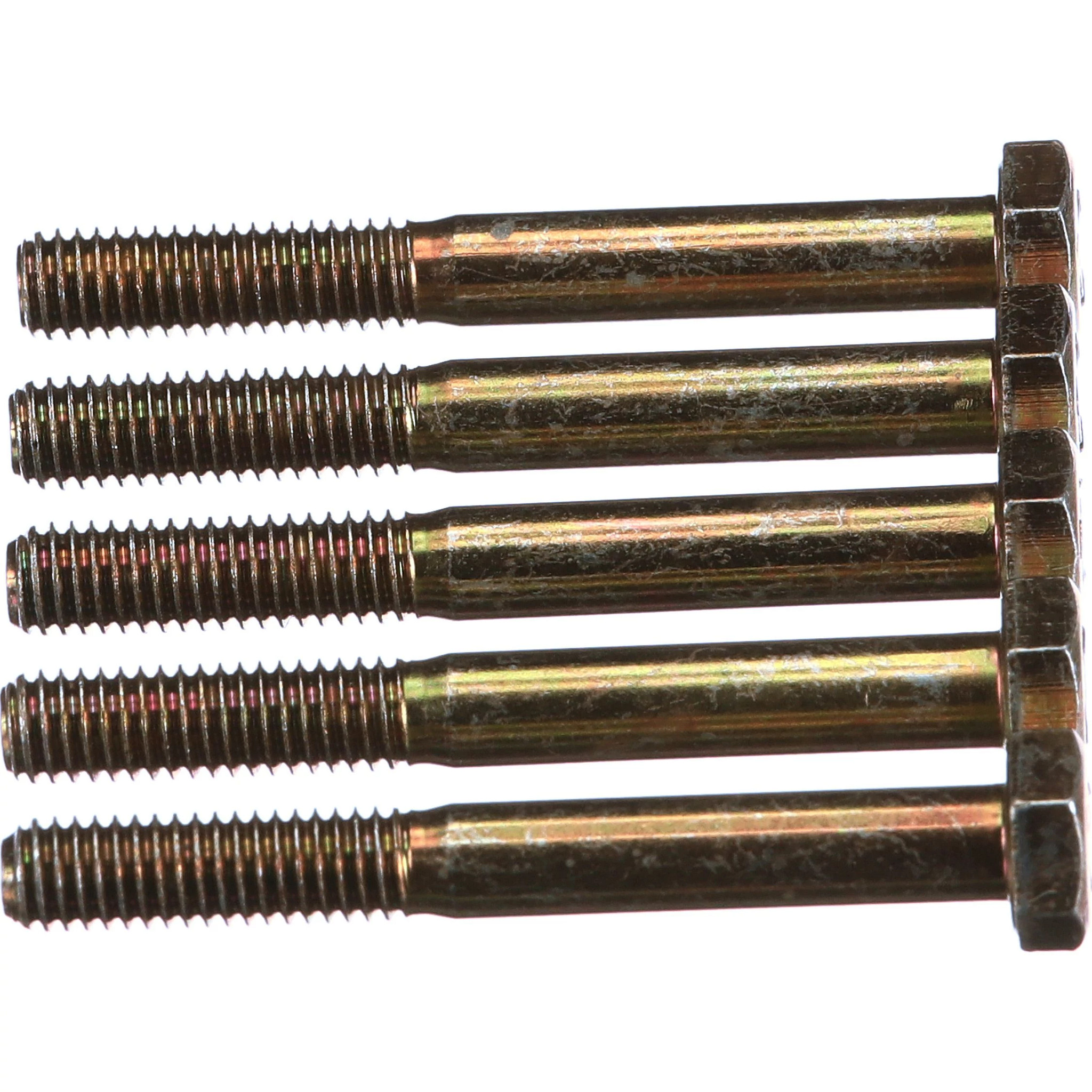 BOLT | CASECE | EU | EN