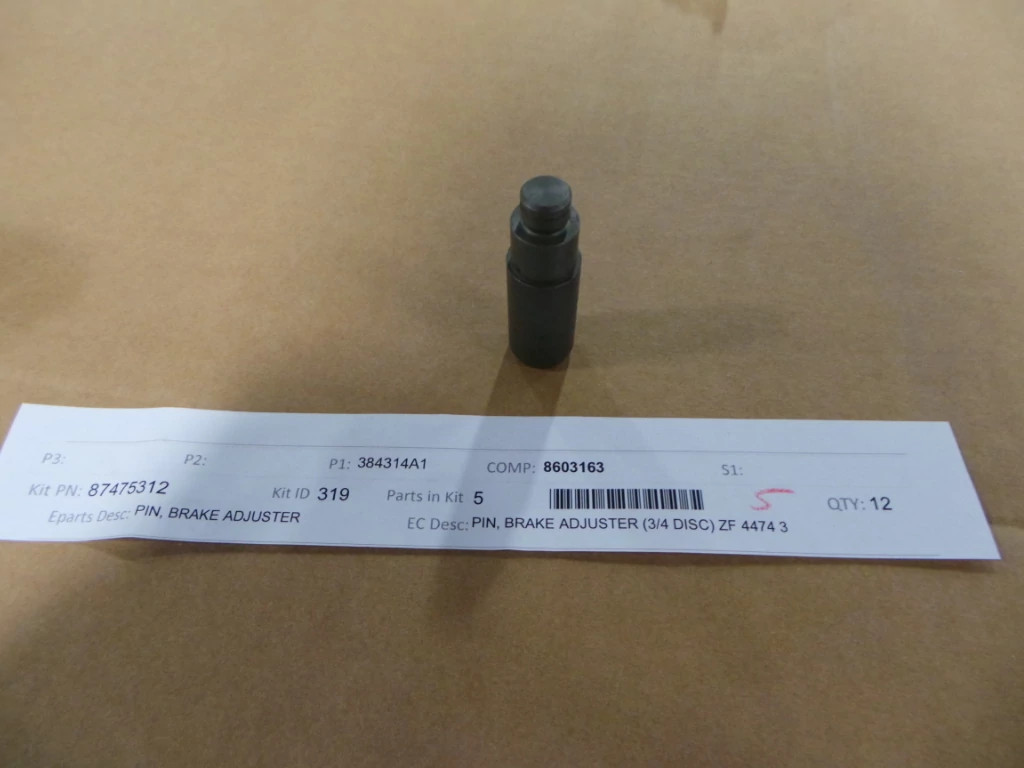 PIN | CASECE | EU | EN