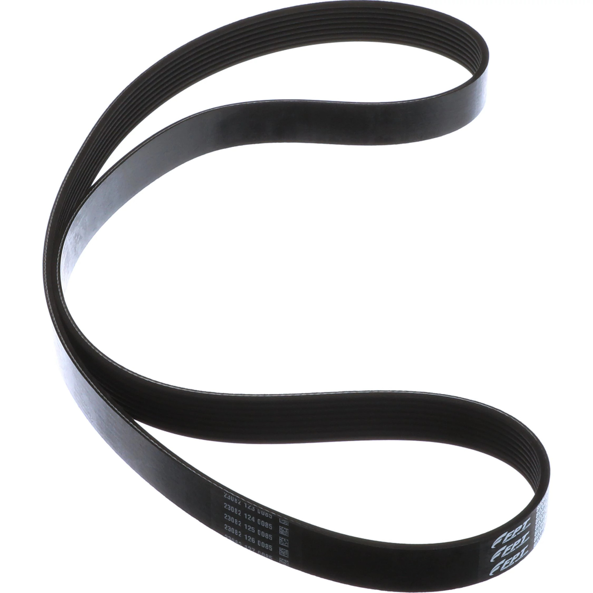 COURROIE | CASECE | CA | FR