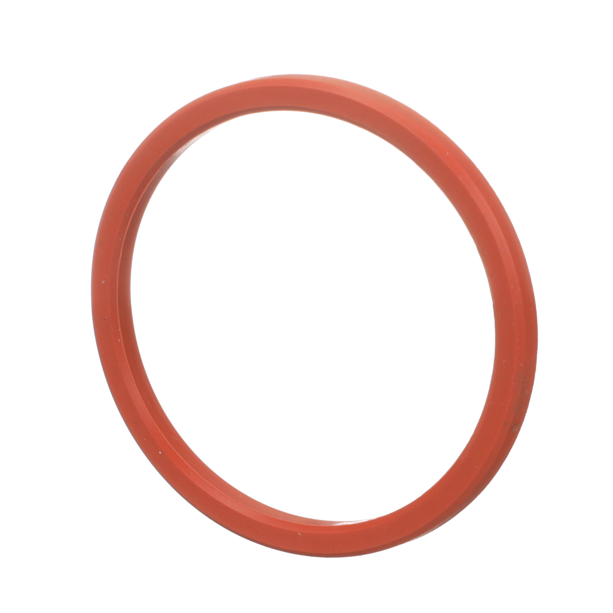 Engine Gasket | CASECE | BR | PT