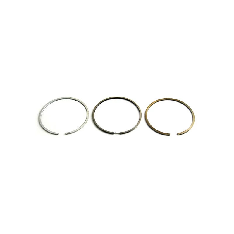 PISTON RING SET | NEWHOLLANDAG | CA | EN
