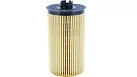 Fleetguard Oil Filter | CASEIH | US | EN
