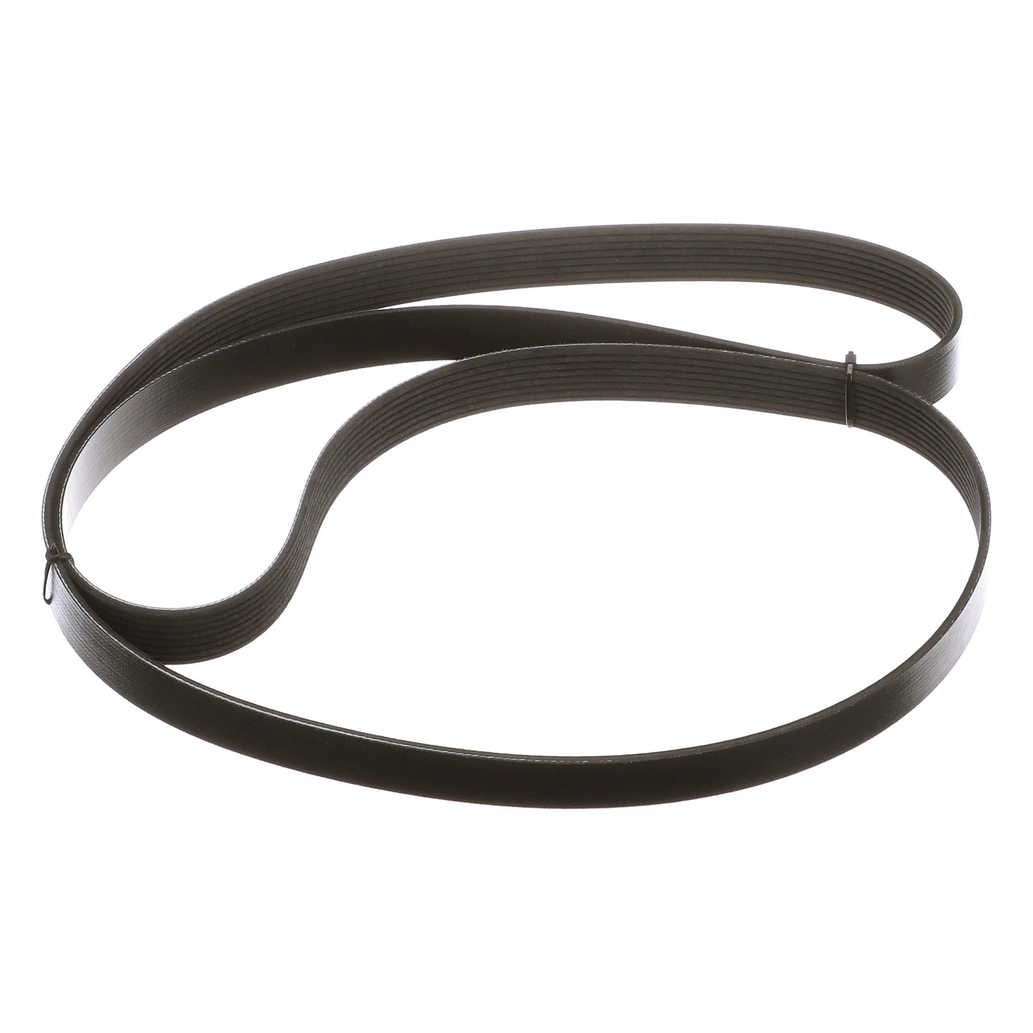 BELT | CASECE | US | EN