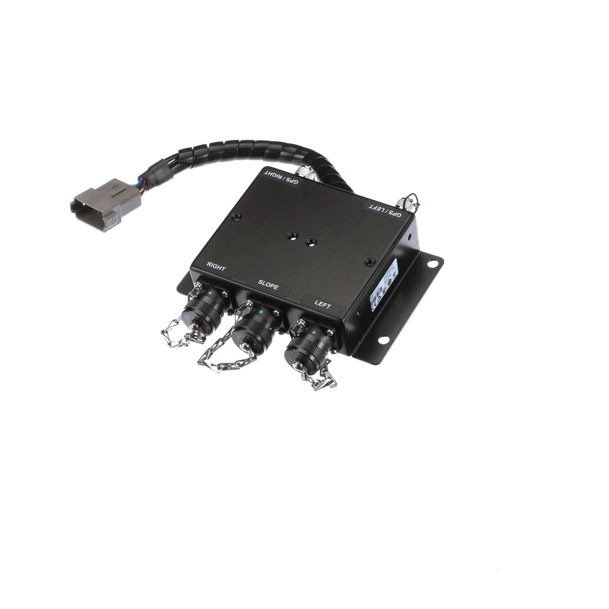 CHICOTE | CASECE | BR | PT