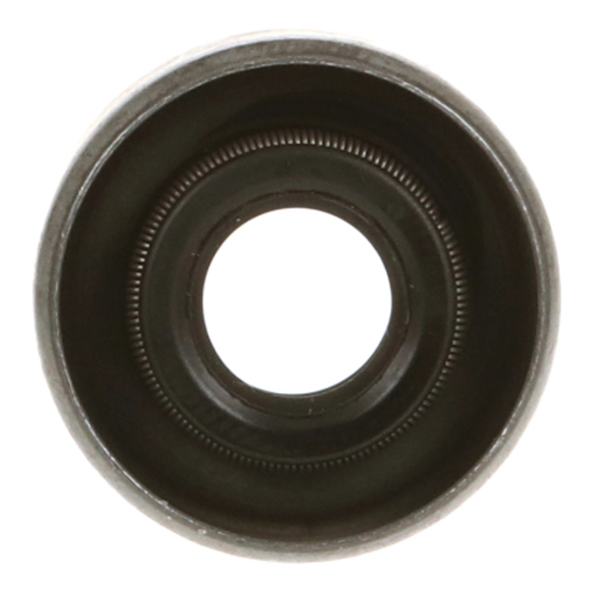 SEAL | CASECE | EU | EN