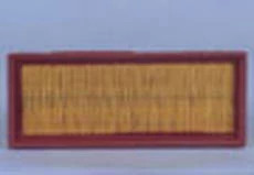 Panneau pour filtre à air Fleetguard | CASEIH | CA | FR