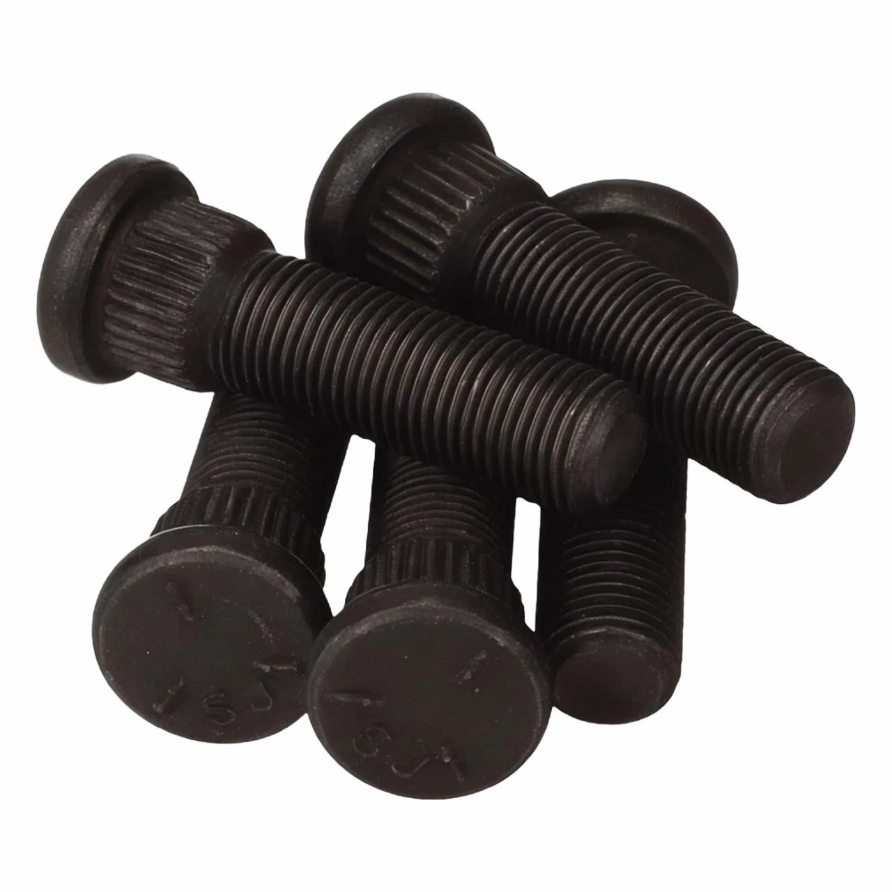 STUD | CASECE | US | EN