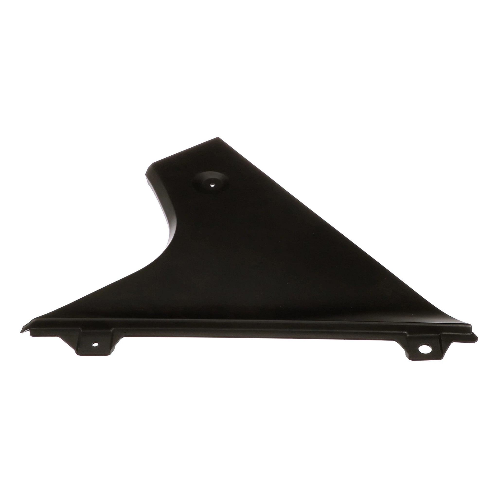 PANEL | CASECE | AMEA | EN