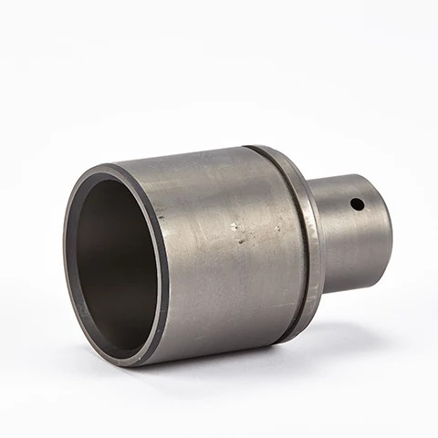 PIN | CASECE | AMEA | EN