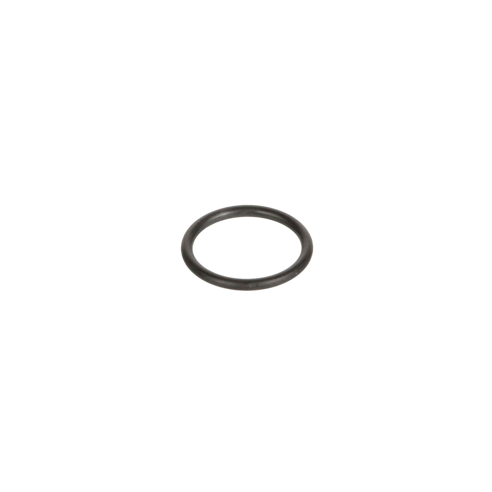 O-RING | CASECE | BR | PT
