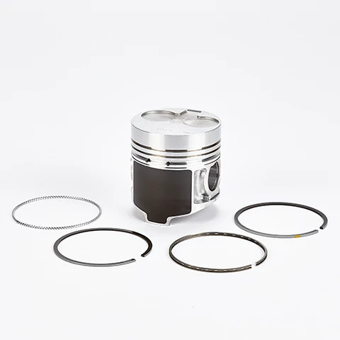 Piston and Rings Kit