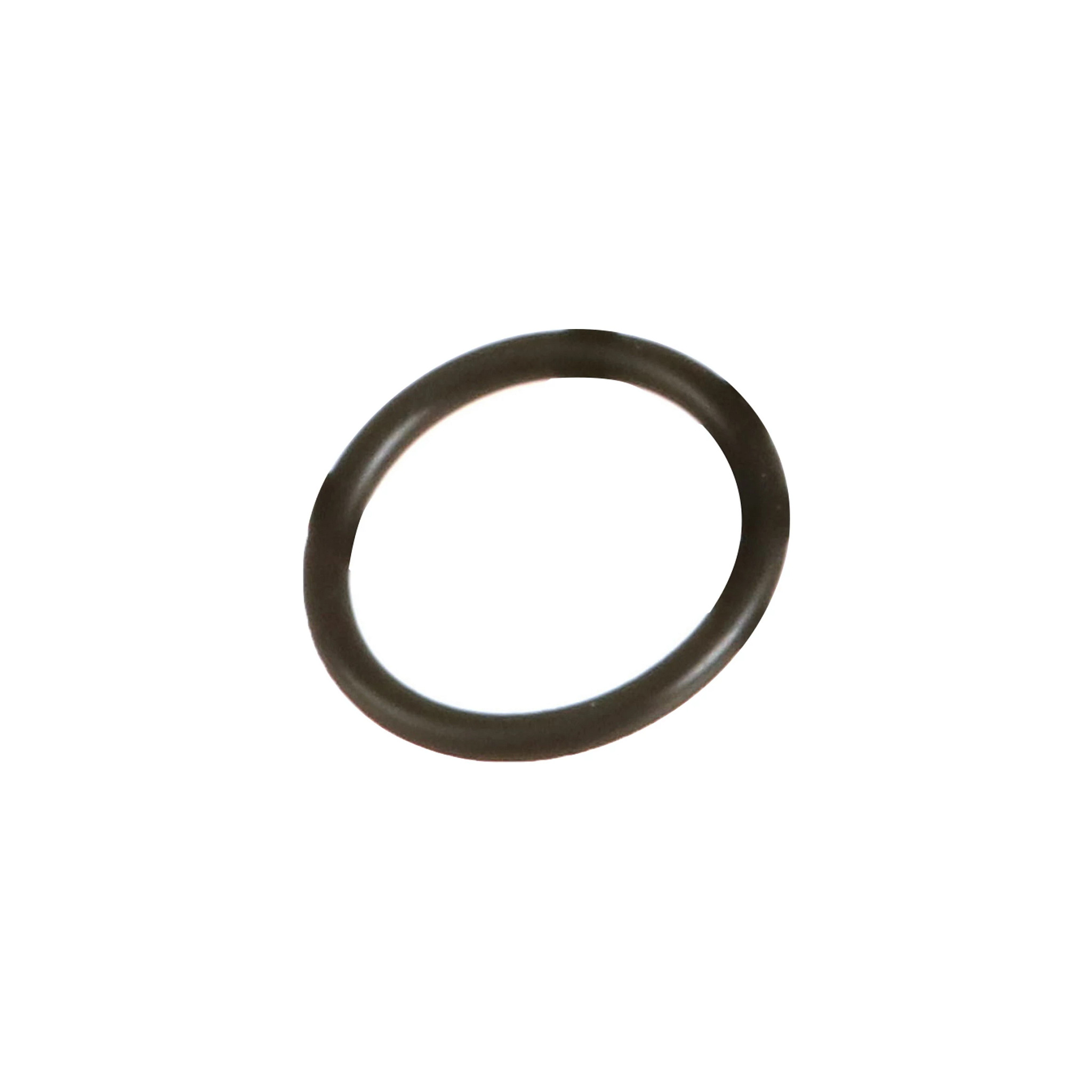 ANELLO TOROIDALE | NEWHOLLANDAG | EU | ES