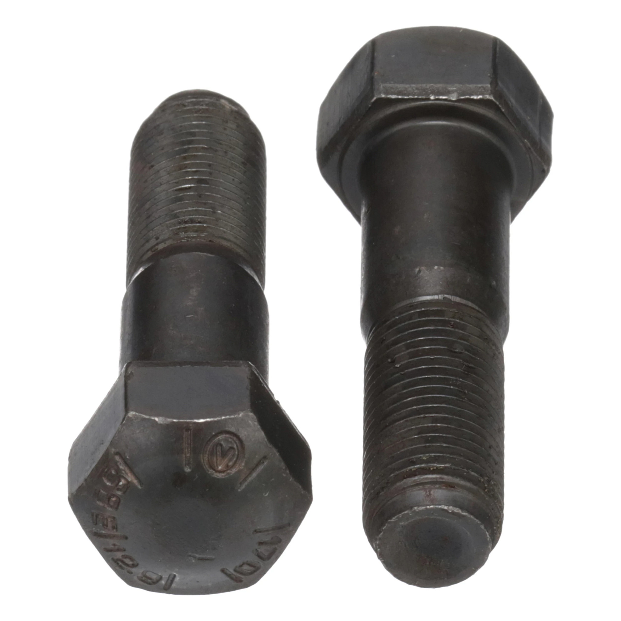 BOLT | CASECE | CA | EN