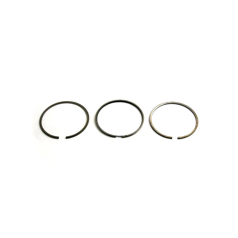 PISTON RING SET | NEWHOLLANDAG | CA | EN