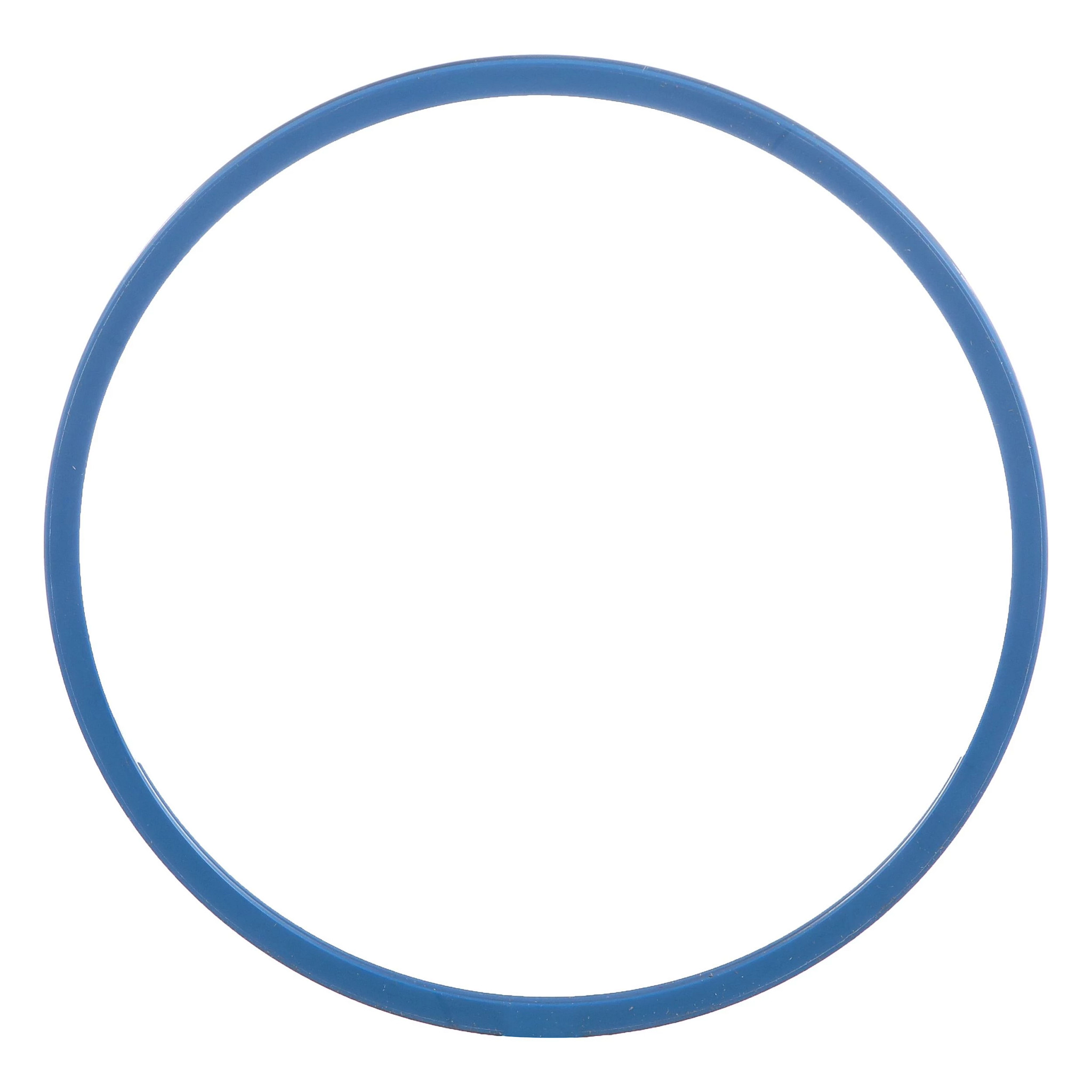SEALING RING | CASECE | CA | EN