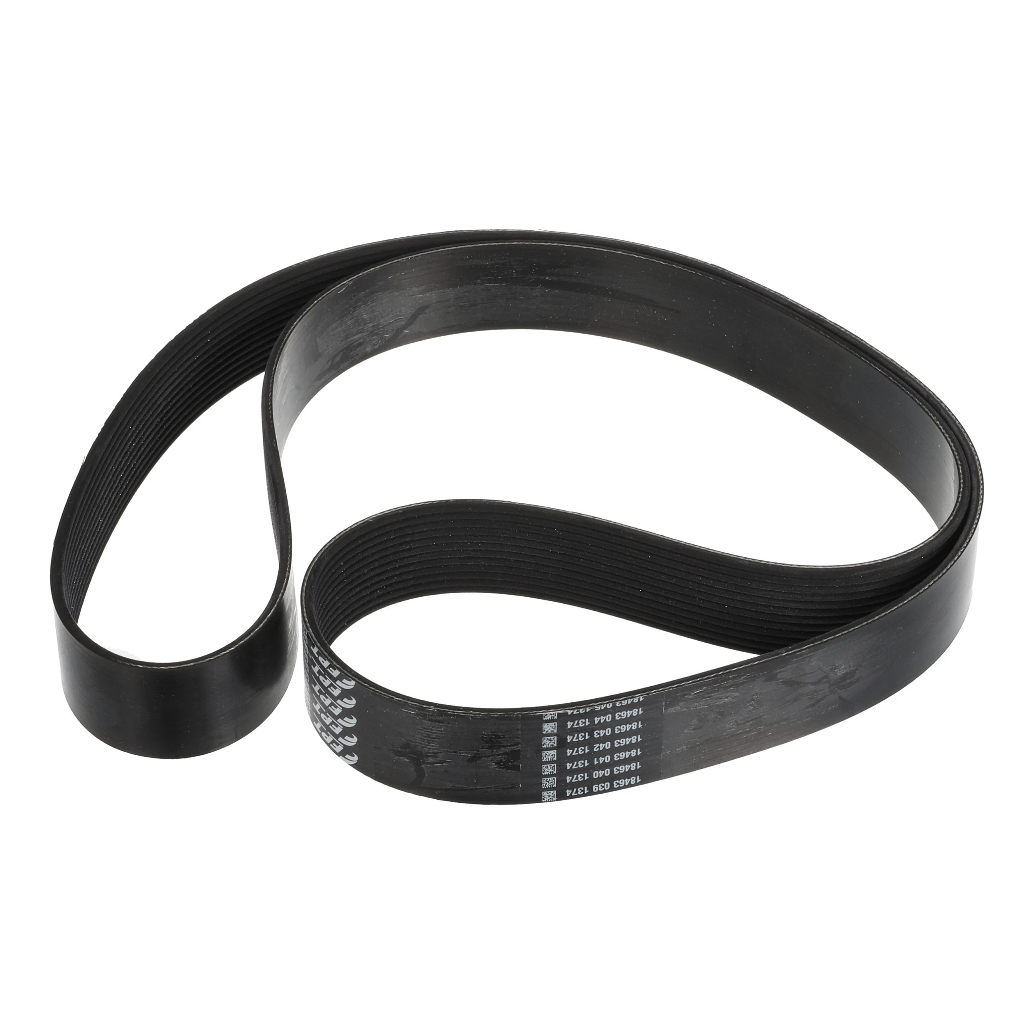 BELT | CASECE | CA | FR