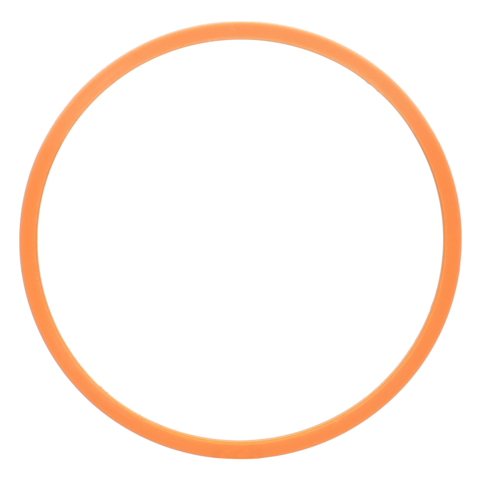 BAGUE ANTI-EXTRUSION | CASEIH | EU | FR