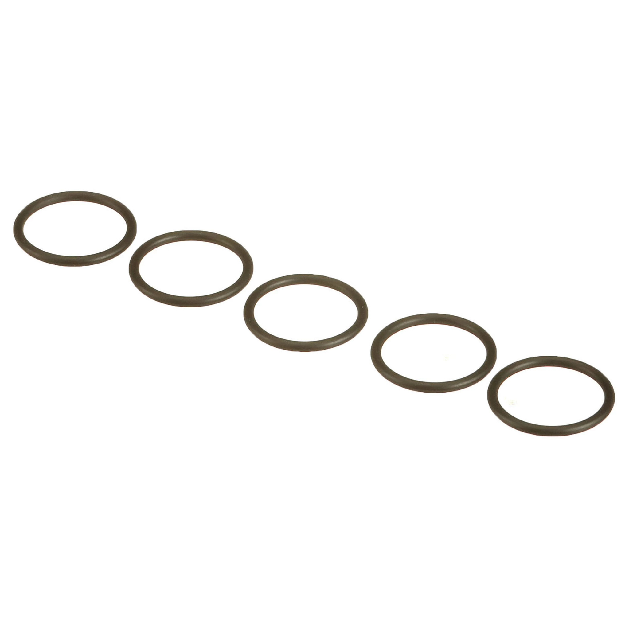 O-RING | NEWHOLLANDAG | US | EN