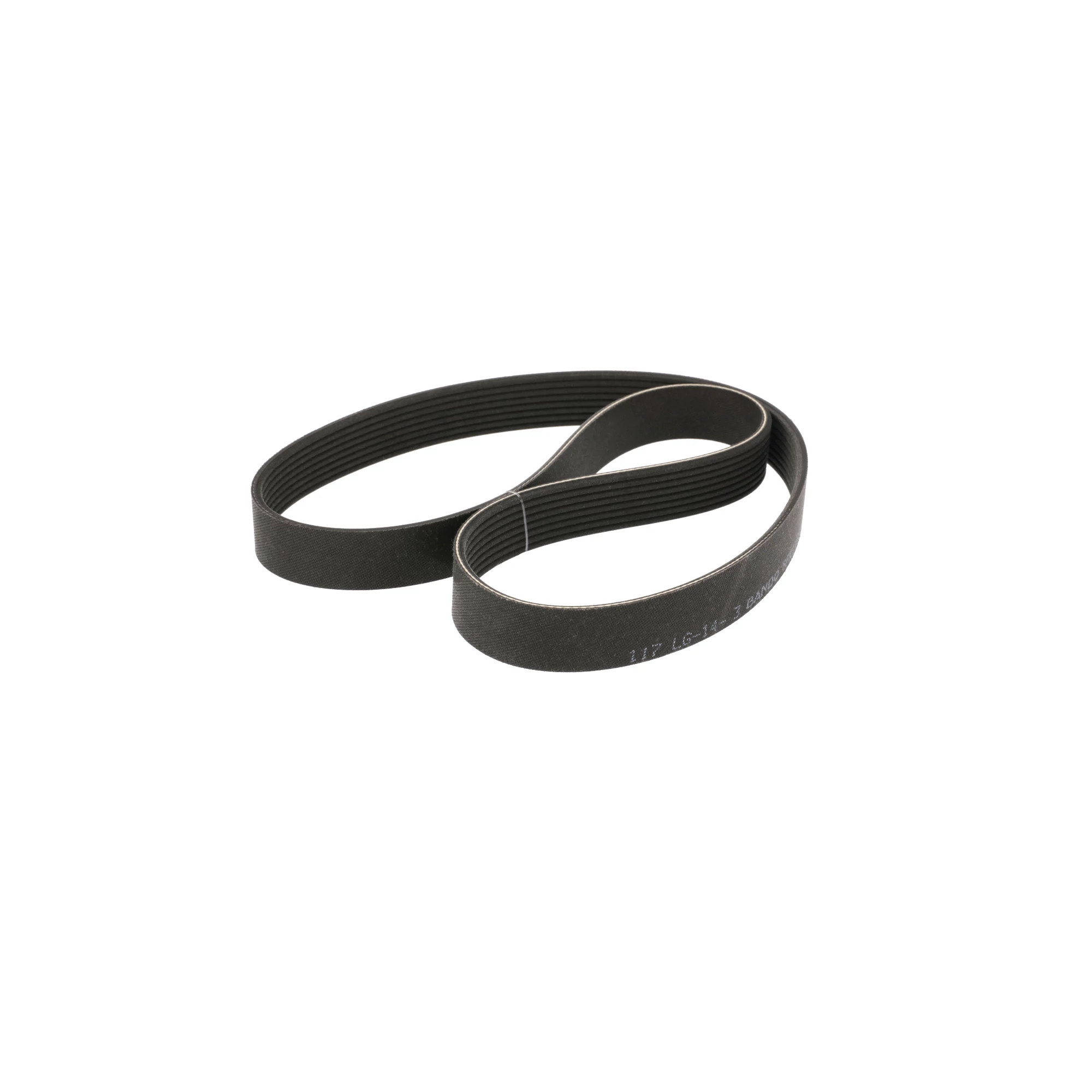 BELT | CASECE | AMEA | EN