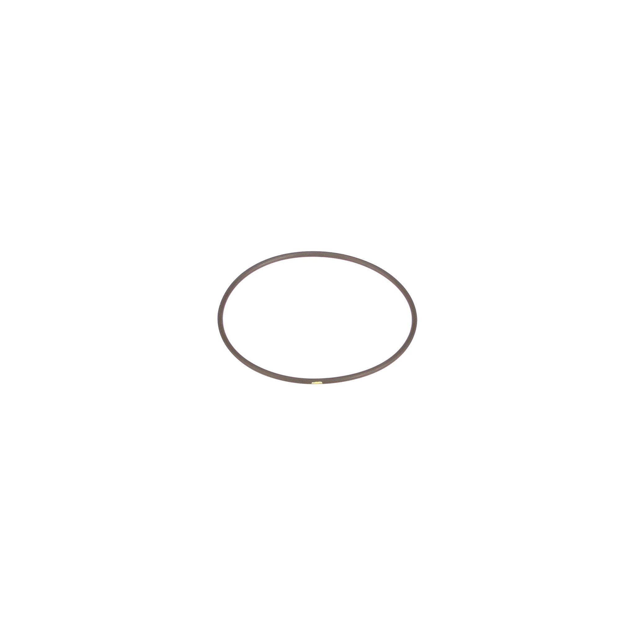 O-RING | NEWHOLLANDCE | EU | IT