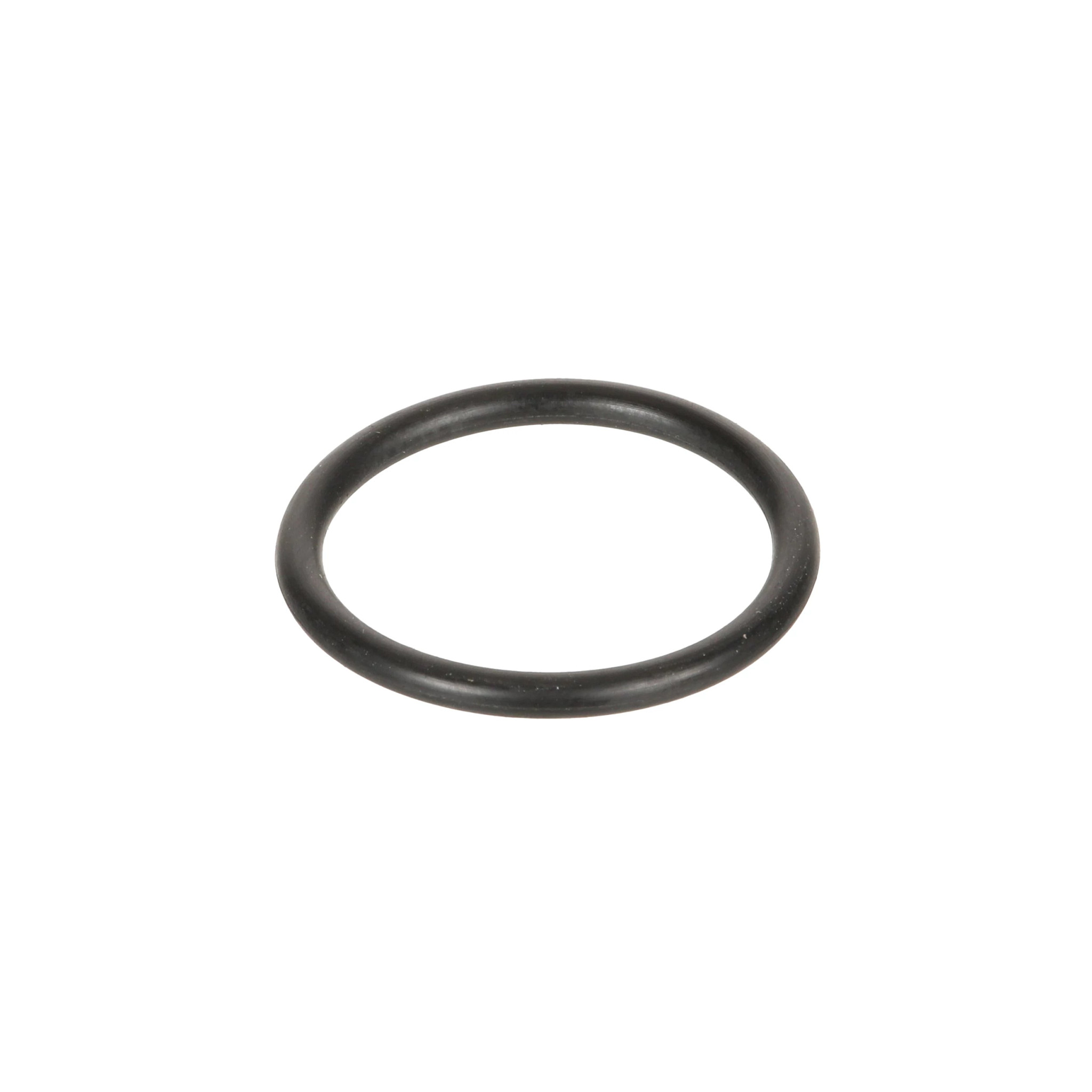 O-RING | CASECE | BR | PT