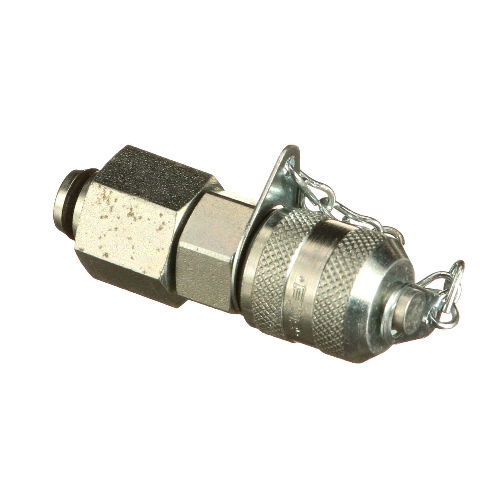 GUARDA PÓ | CASECE | BR | PT