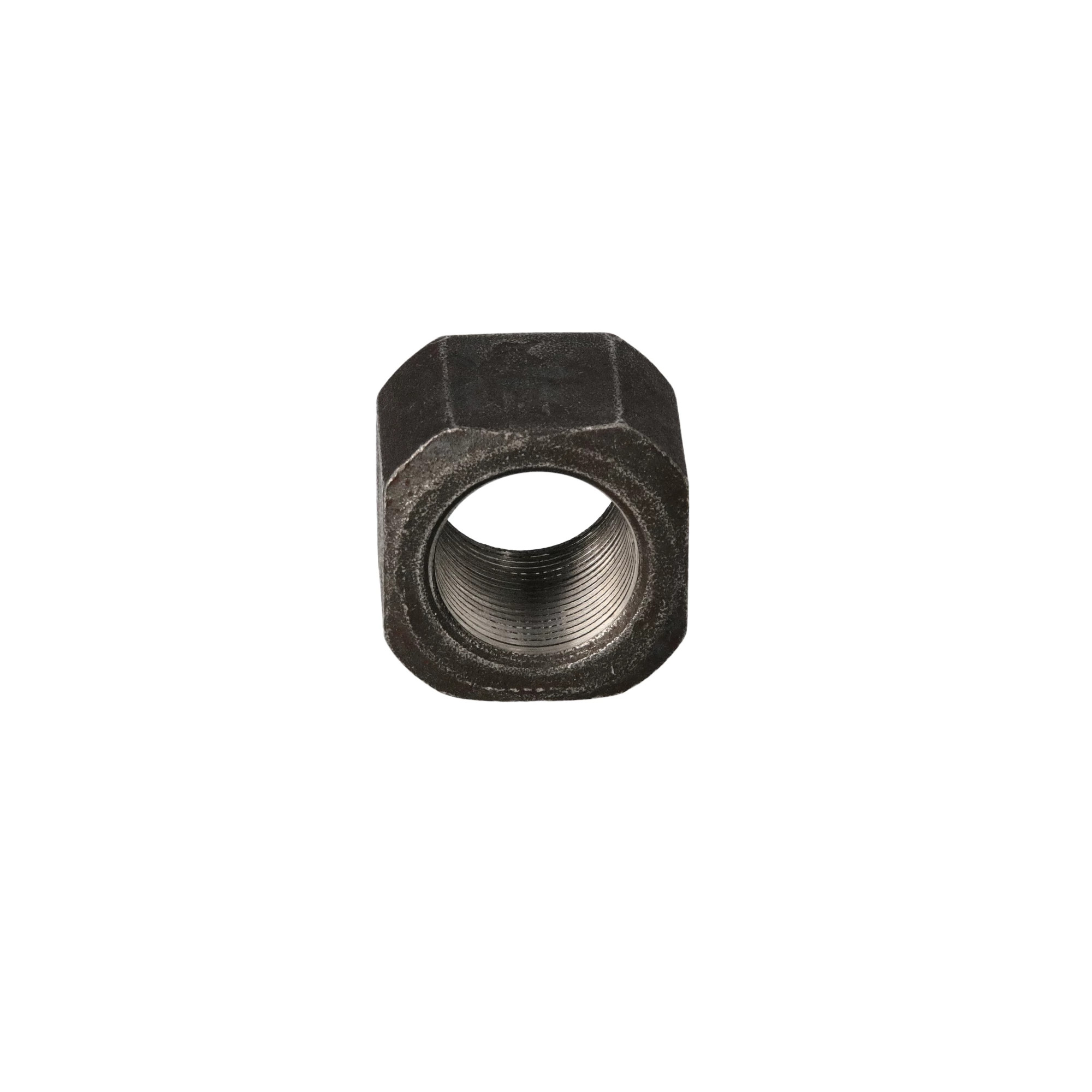 Nut Shoe | CASECE | BR | PT