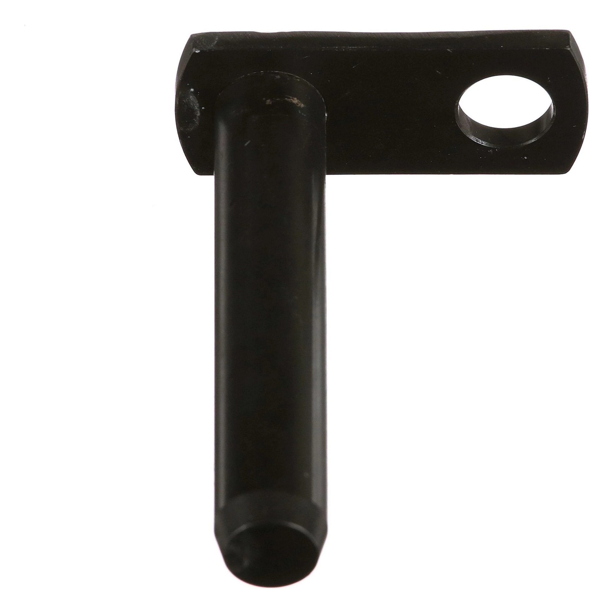 KOPFZAPFEN | CASECE | EU | FR