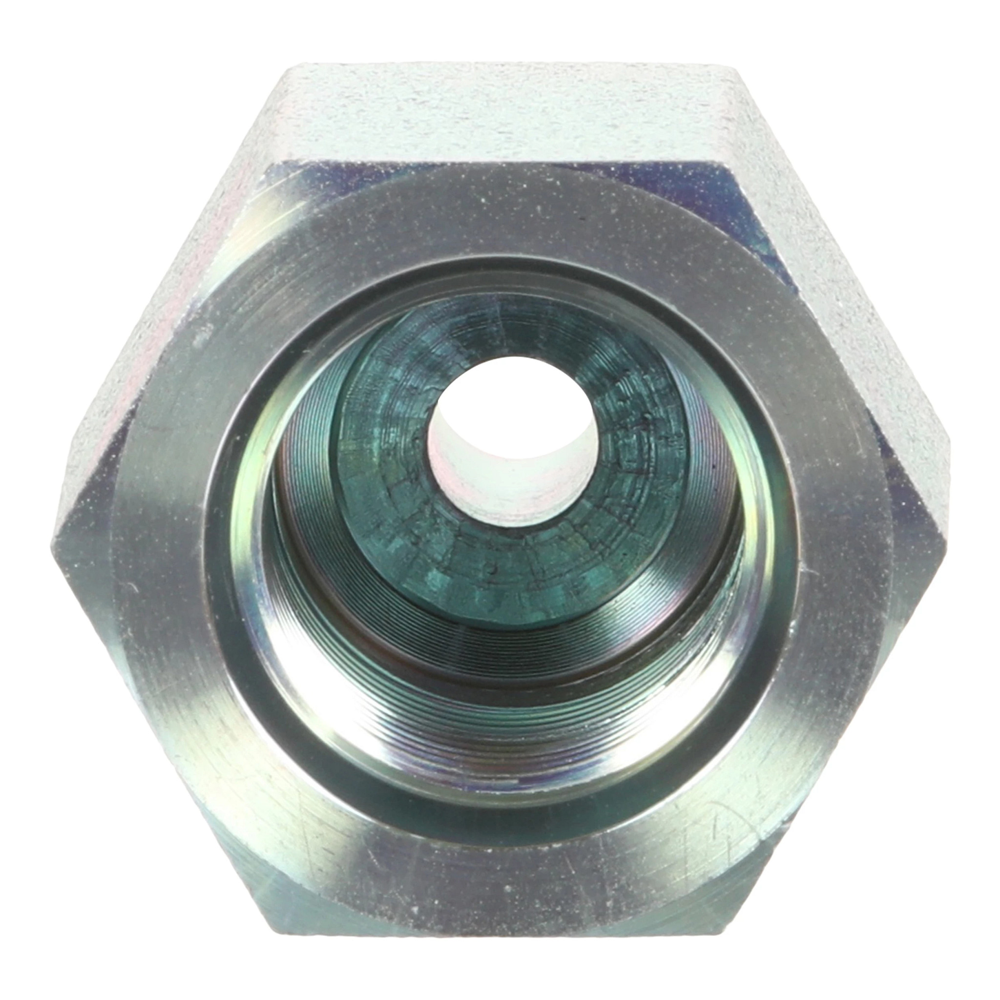 GOUJON | CASECE | AMEA | EN