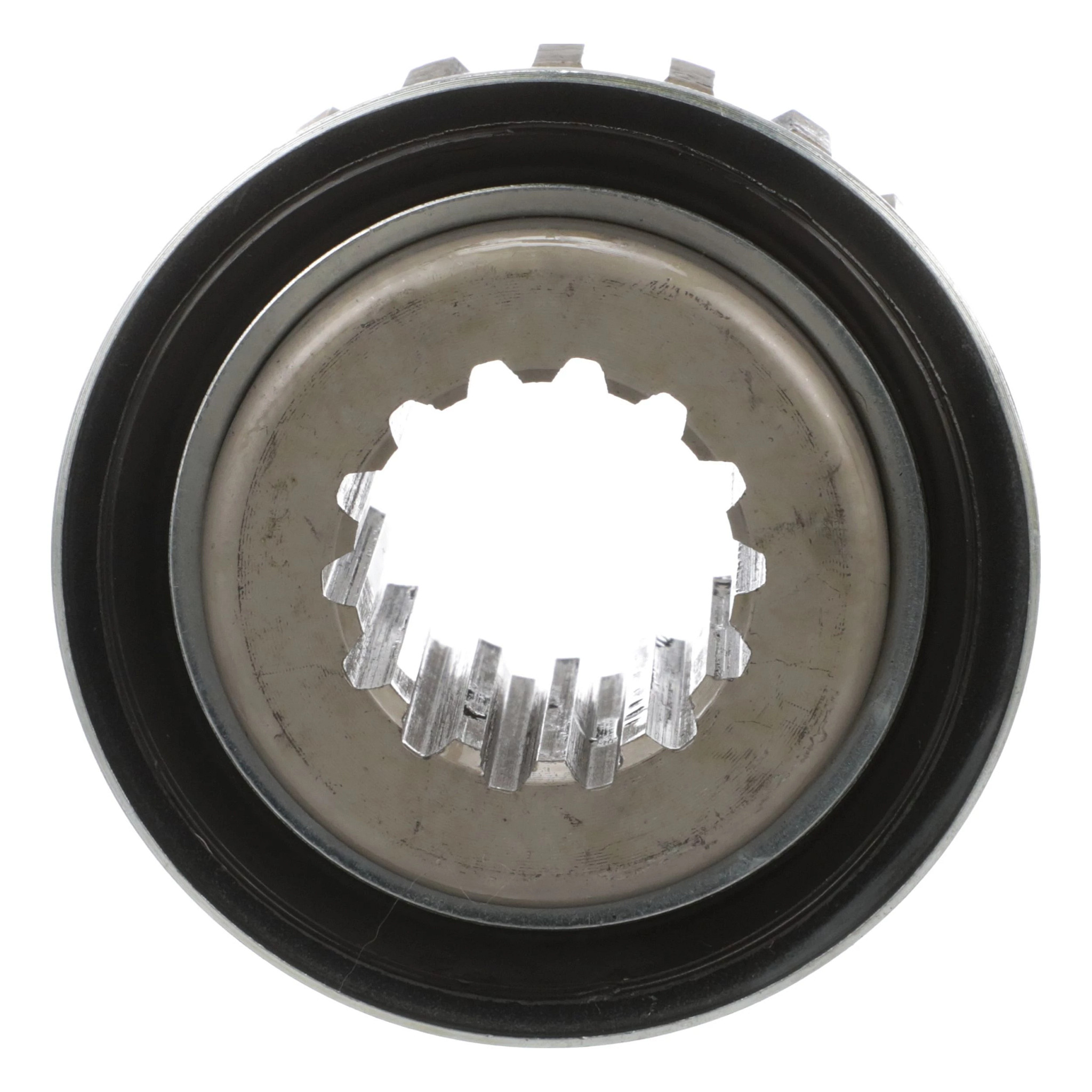 PINHAO TRANSPORTADOR