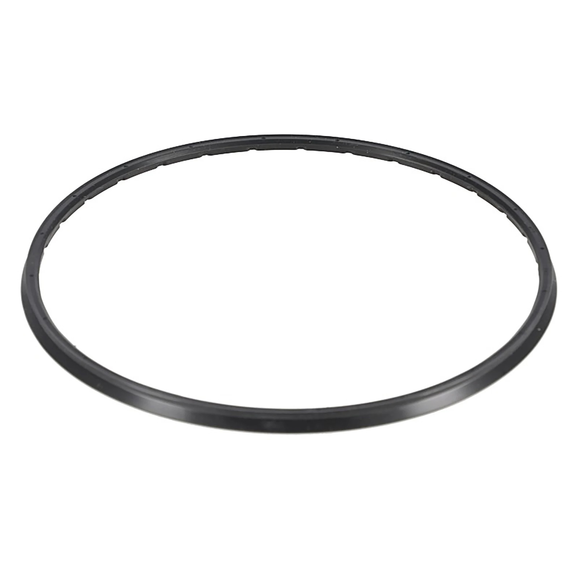 Dana/Spicer® Hub V-Ring | CASECE | US | EN