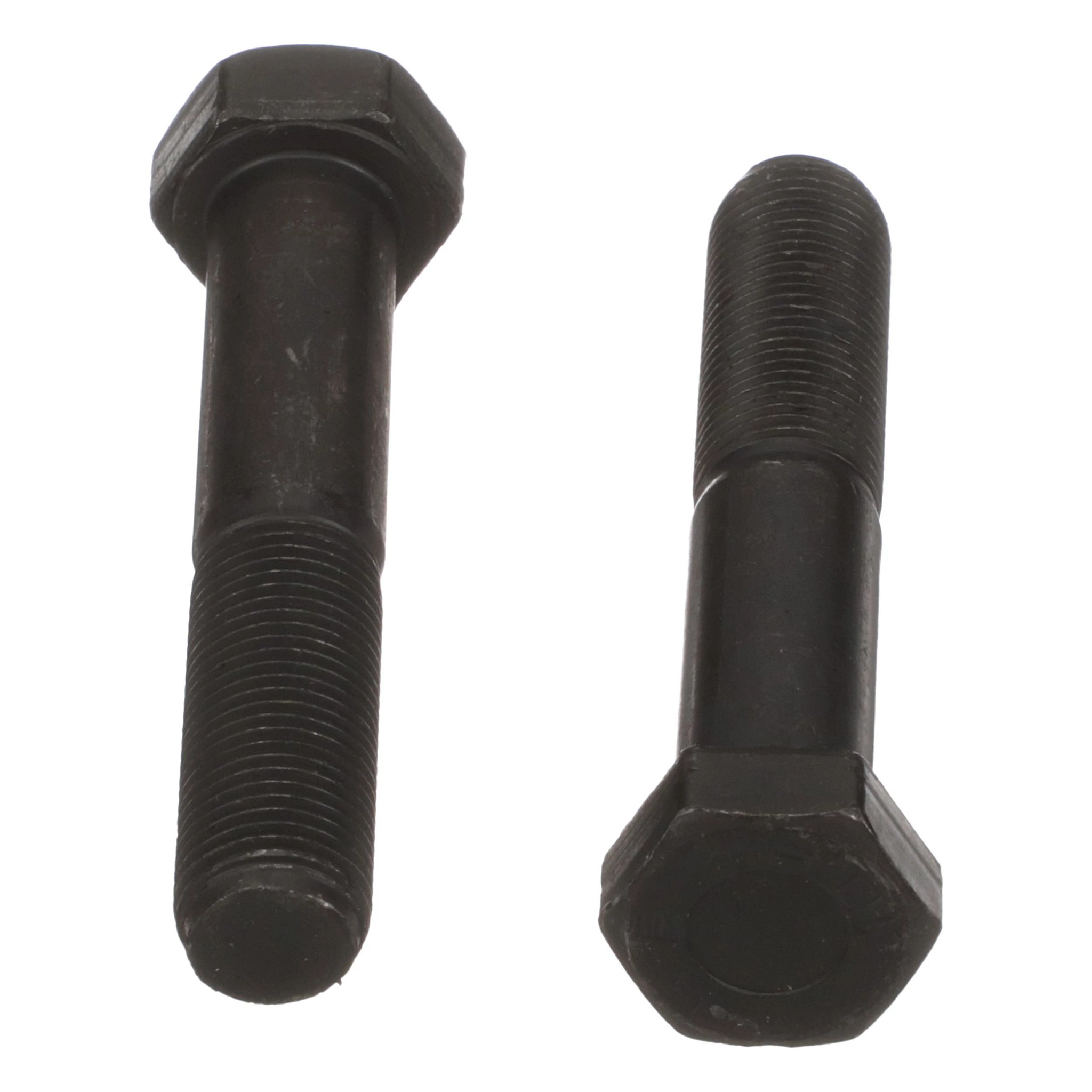 TORNILLO | CASECE | EU | ES