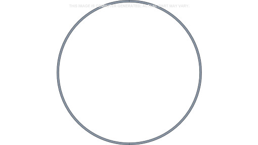 O-RING | CASECE | EU | RU