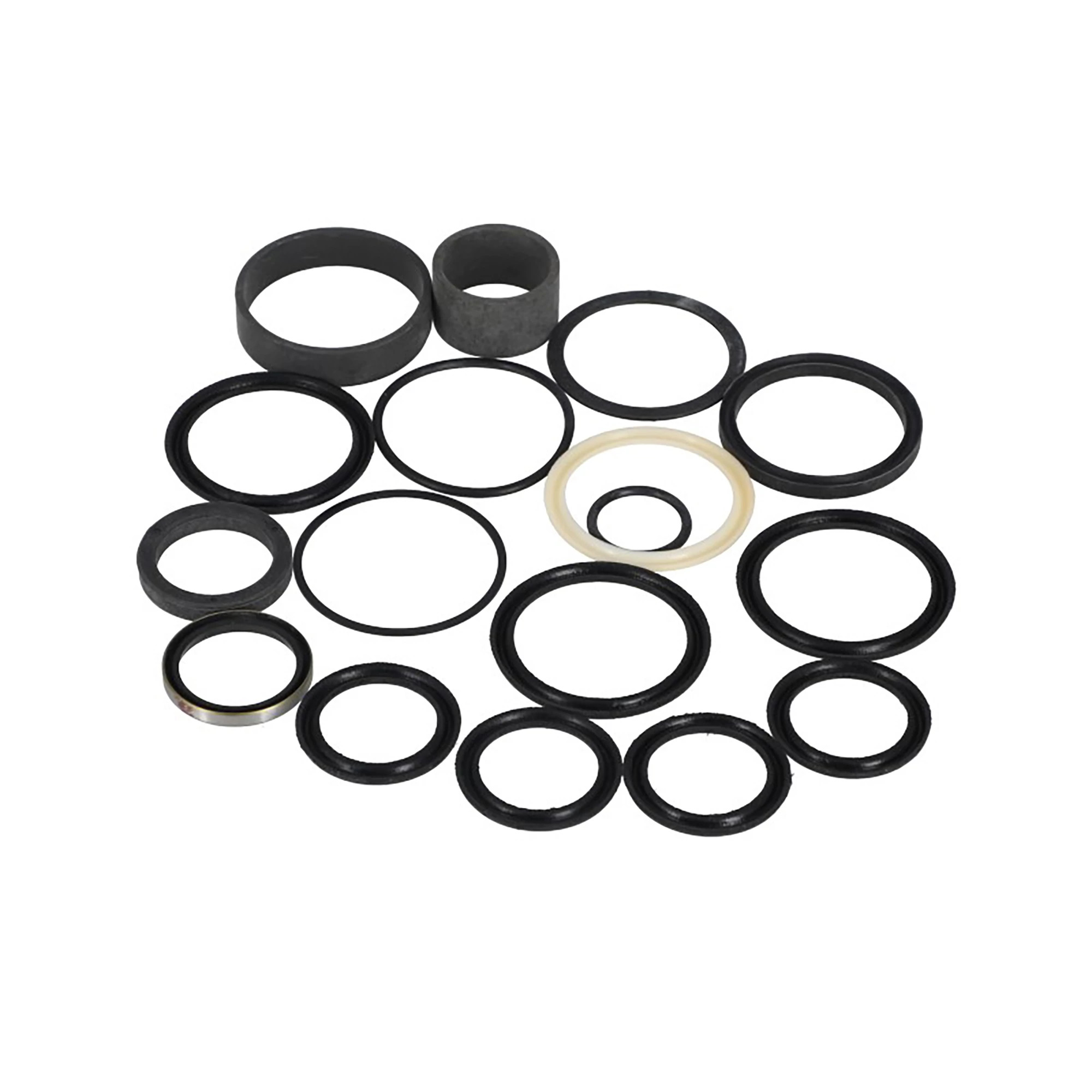 Tilt Cylinder Hydraulic Seal Kit | CASEIH | CA | EN