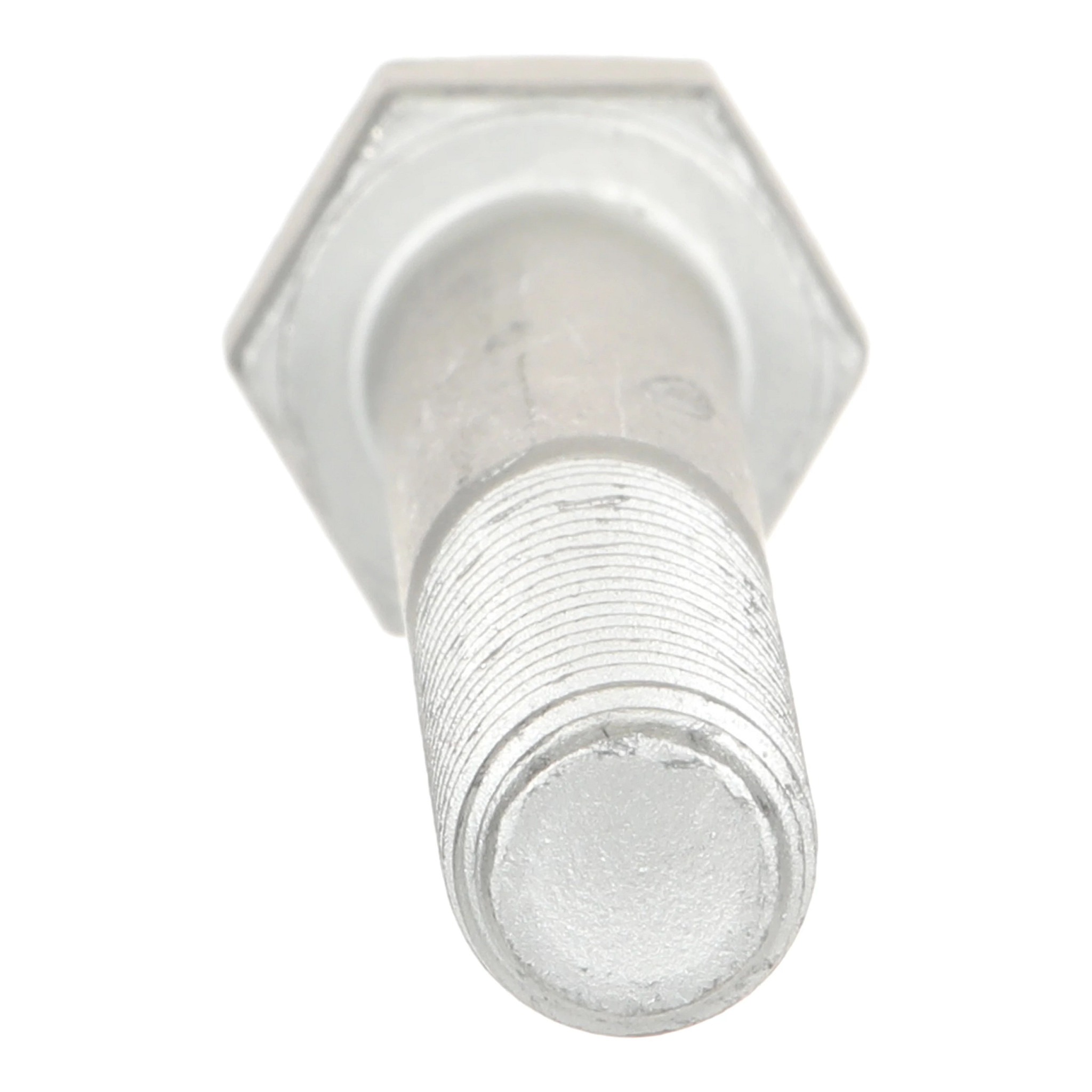 BOLT | CASECE | US | EN