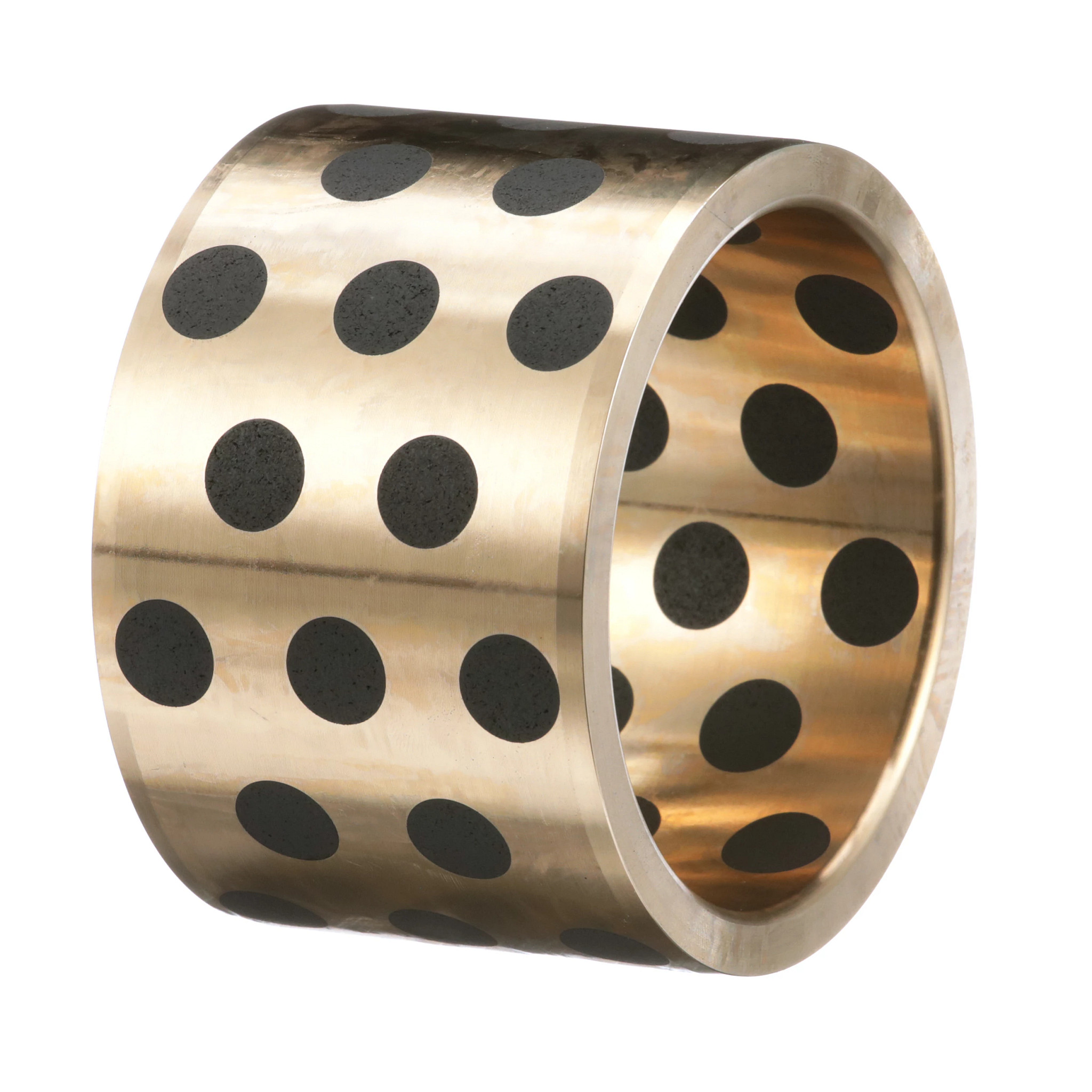 Oilless Bushing | CASECE | BR | PT