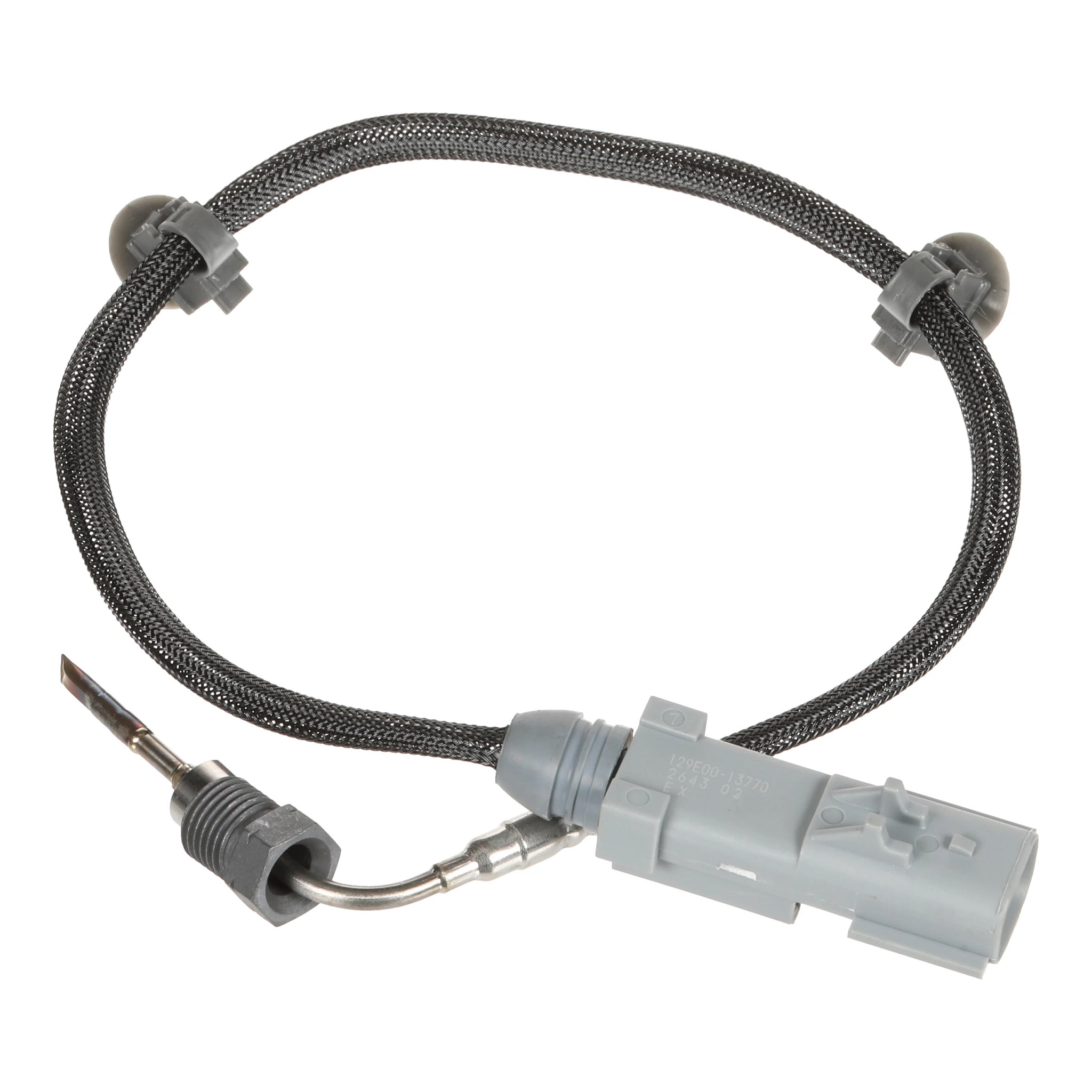 SENSOR | CASECE | US | EN