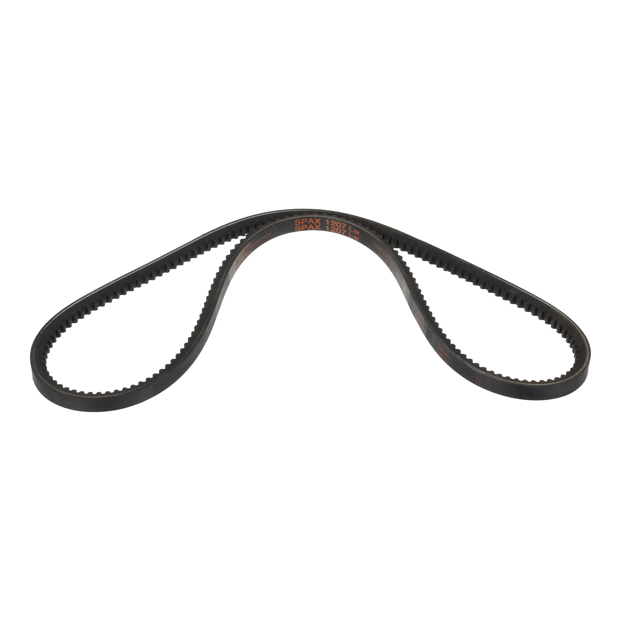 BELT | CASECE | US | EN