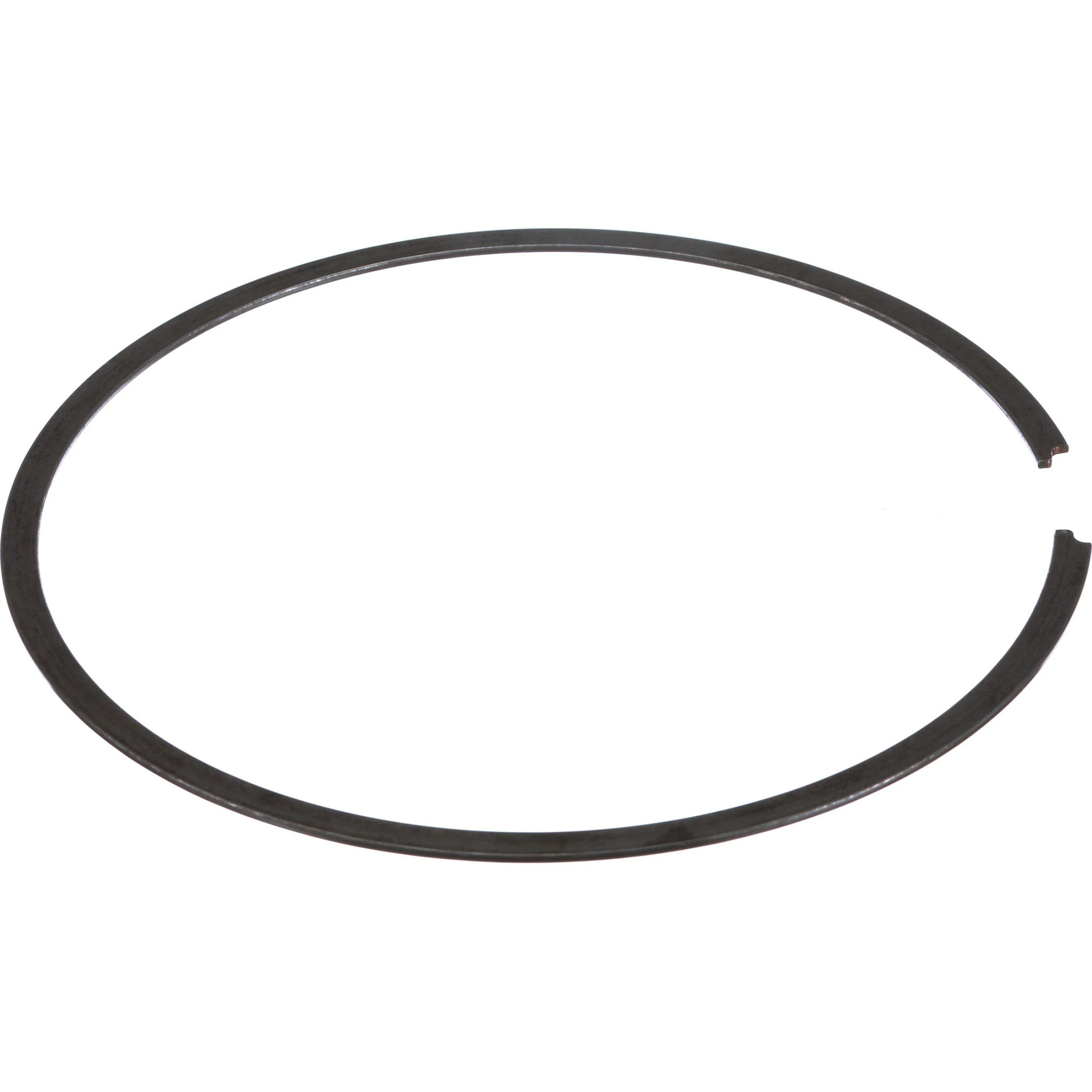 ANILLO DE RESORTE | CASEIH | EU | PT