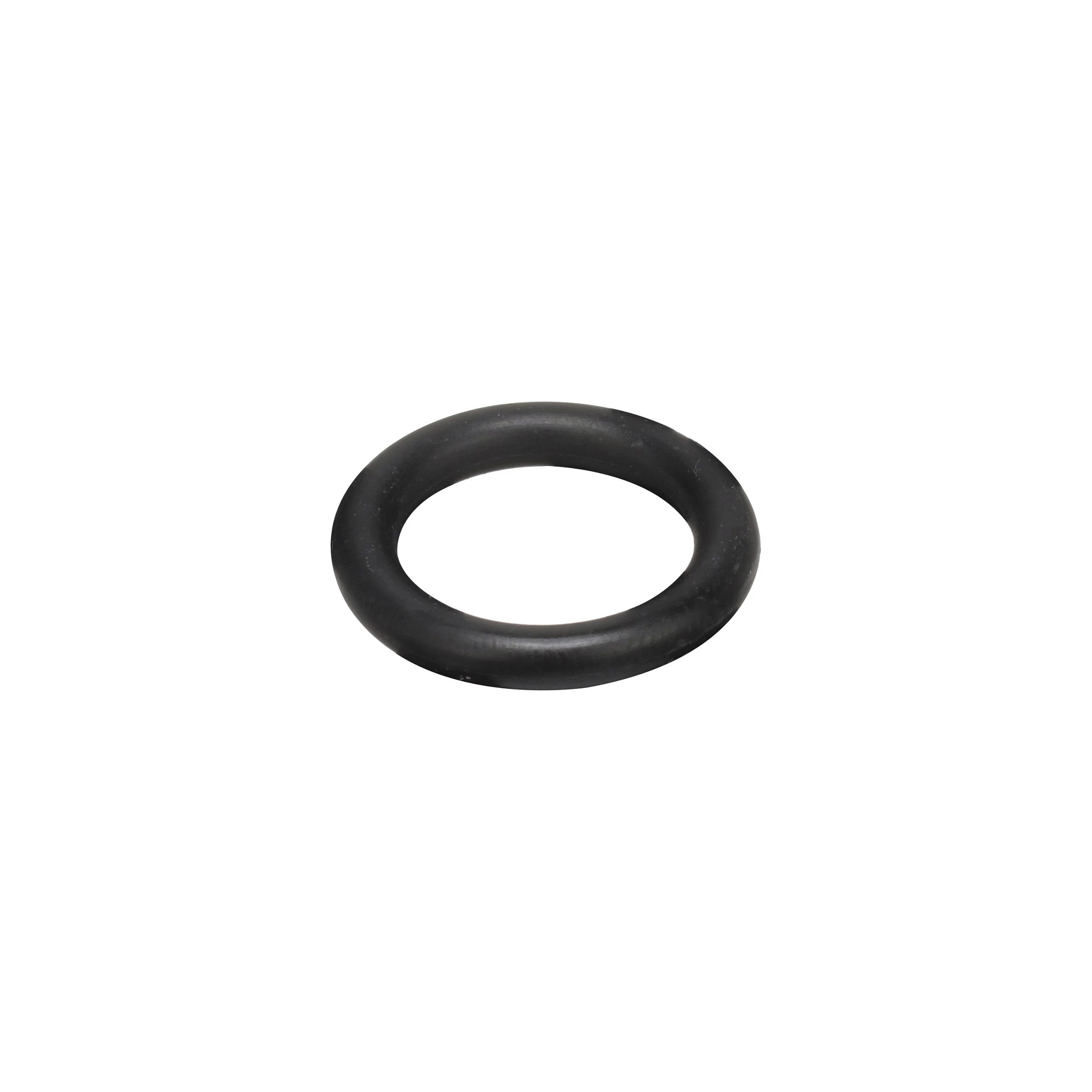 O-Ring | CASECE | US | EN