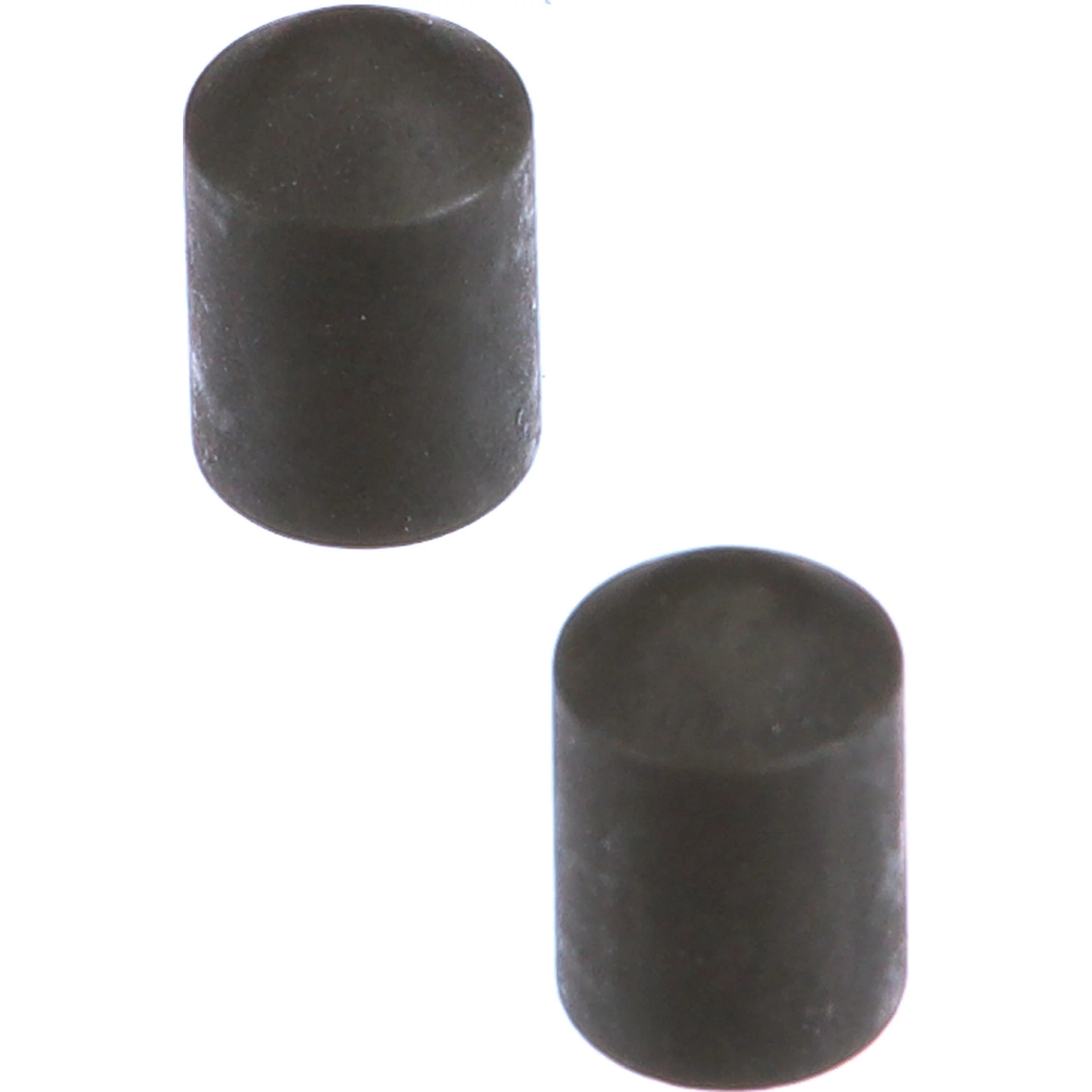 PAWL | CASEIH | GB | EN