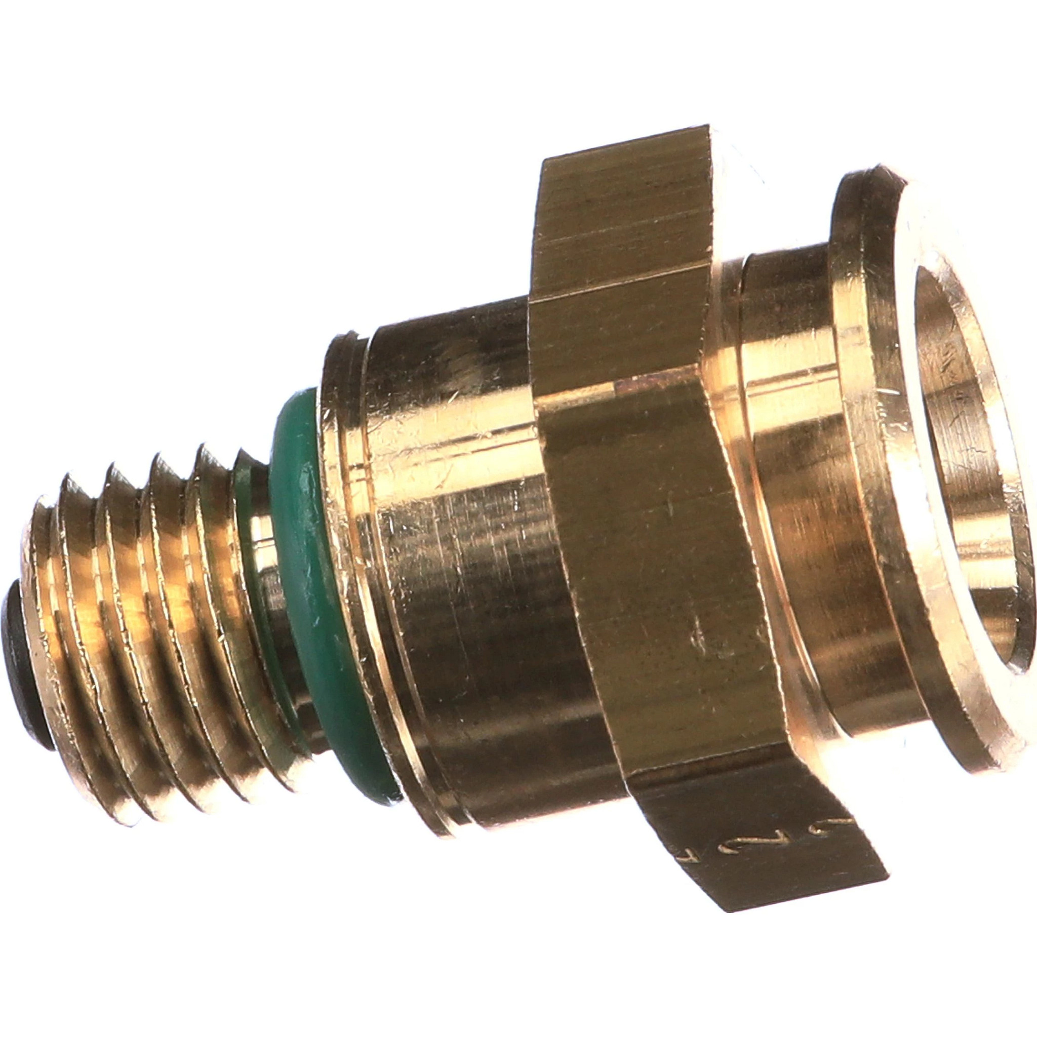 FITTING | CASECE | AMEA | EN